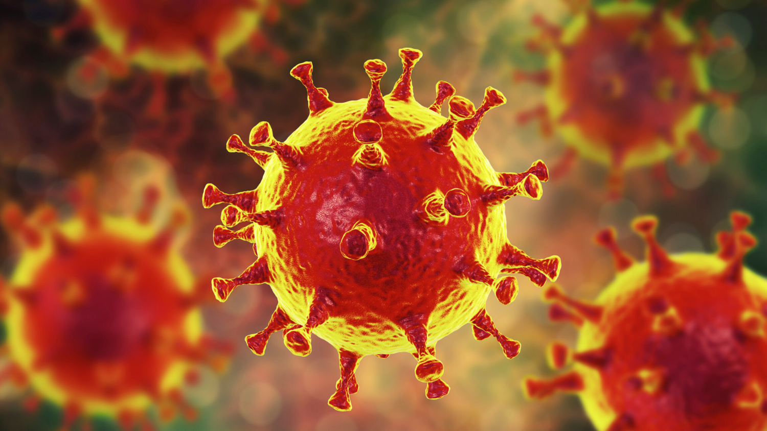 Coronavirus